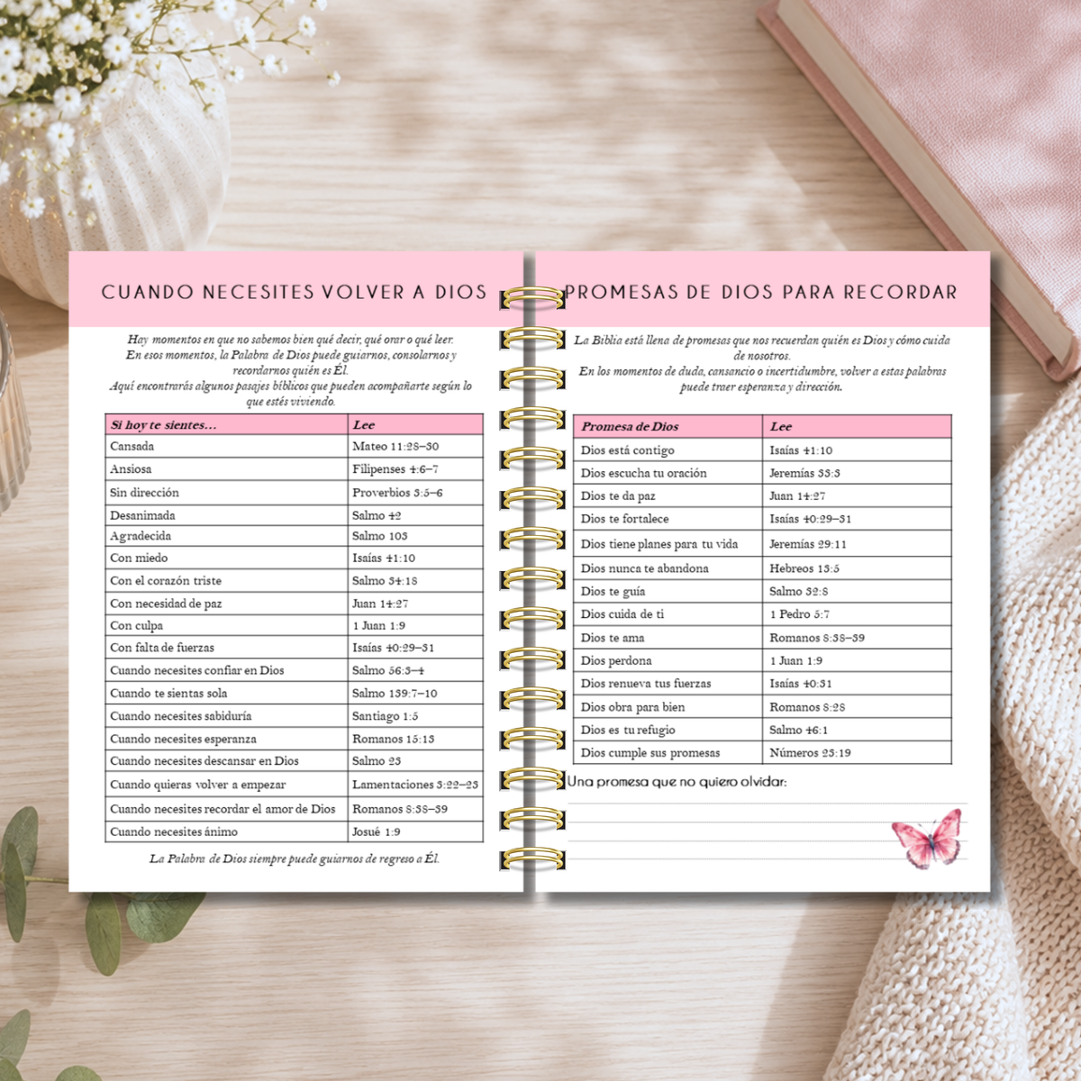 Agenda Cristiana "Destellos de Mariposas"